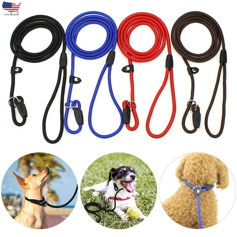 Dog Accessories Pet Dog Nylon Rope Training Leash Slip Lead Strap Adjustable USA