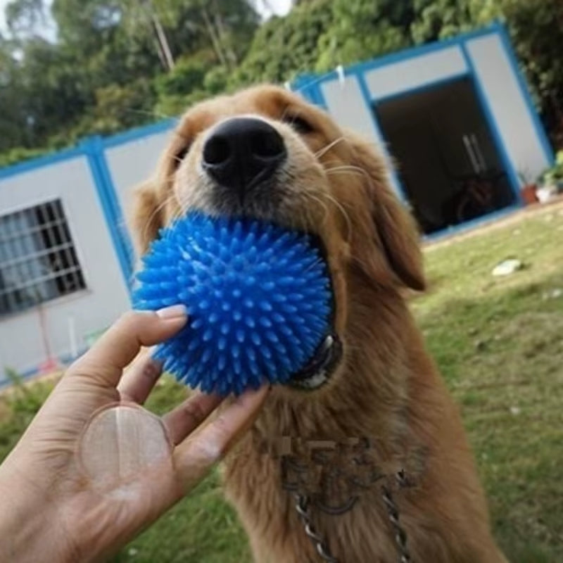 1PCS Soundmaking Toy Soft Sting Massage Elastic Ball Tooth Cleaning TPR Training Pet Teeth Chewingthorn Balls Pet Accessories