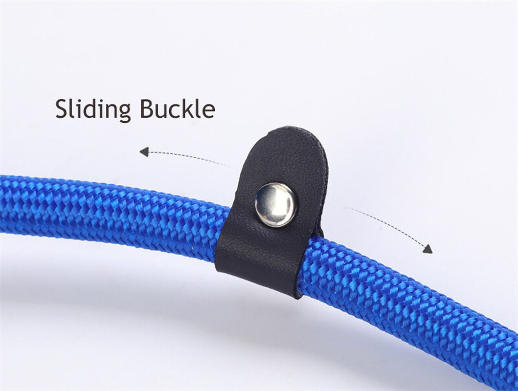 Dog Accessories Pet Dog Nylon Rope Training Leash Slip Lead Strap Adjustable USA