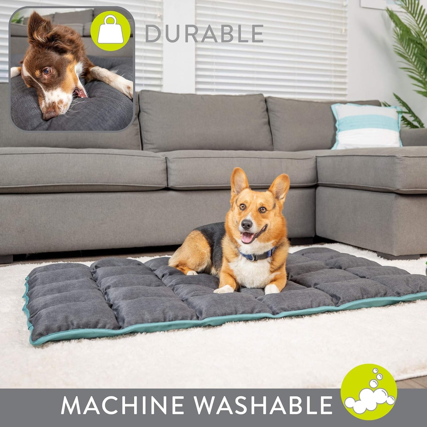 'S Rugged Rest Deluxe Durable Dog Bed (Washable Dog Bed - Small Dog Bed, Medium Dog Bed, Large Dog Bed, and Great Dog Crate Bed and Travel Bed) MEDIUM: 40"X30"X2.76"