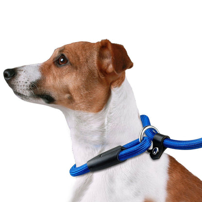 Dog Accessories Pet Dog Nylon Rope Training Leash Slip Lead Strap Adjustable USA