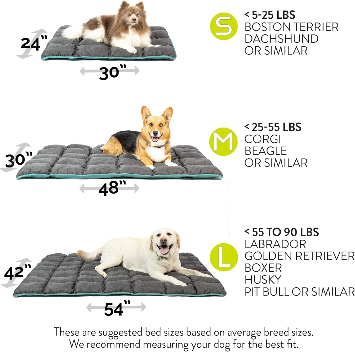 'S Rugged Rest Deluxe Durable Dog Bed (Washable Dog Bed - Small Dog Bed, Medium Dog Bed, Large Dog Bed, and Great Dog Crate Bed and Travel Bed) MEDIUM: 40"X30"X2.76"